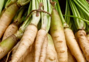How to have a Parsnip Party in your Kitchen