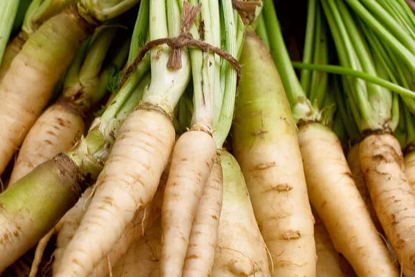 How to have a Parsnip Party in your Kitchen