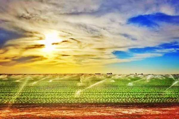 Irrigation Makes Arizona Agriculture Flourish!
