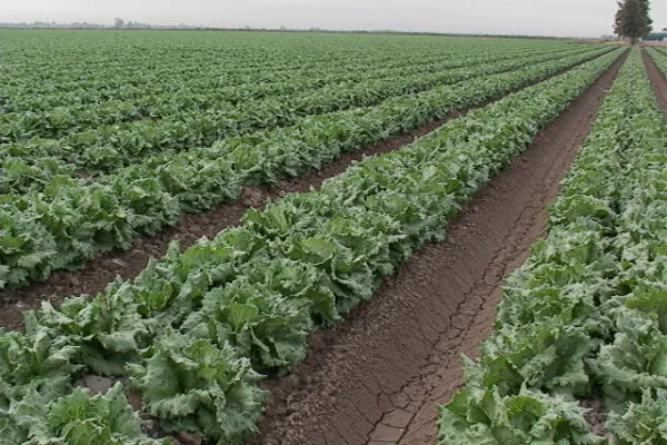 7 of Arizona’s Best Picks