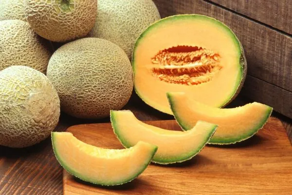 Crazy for Cantaloupe