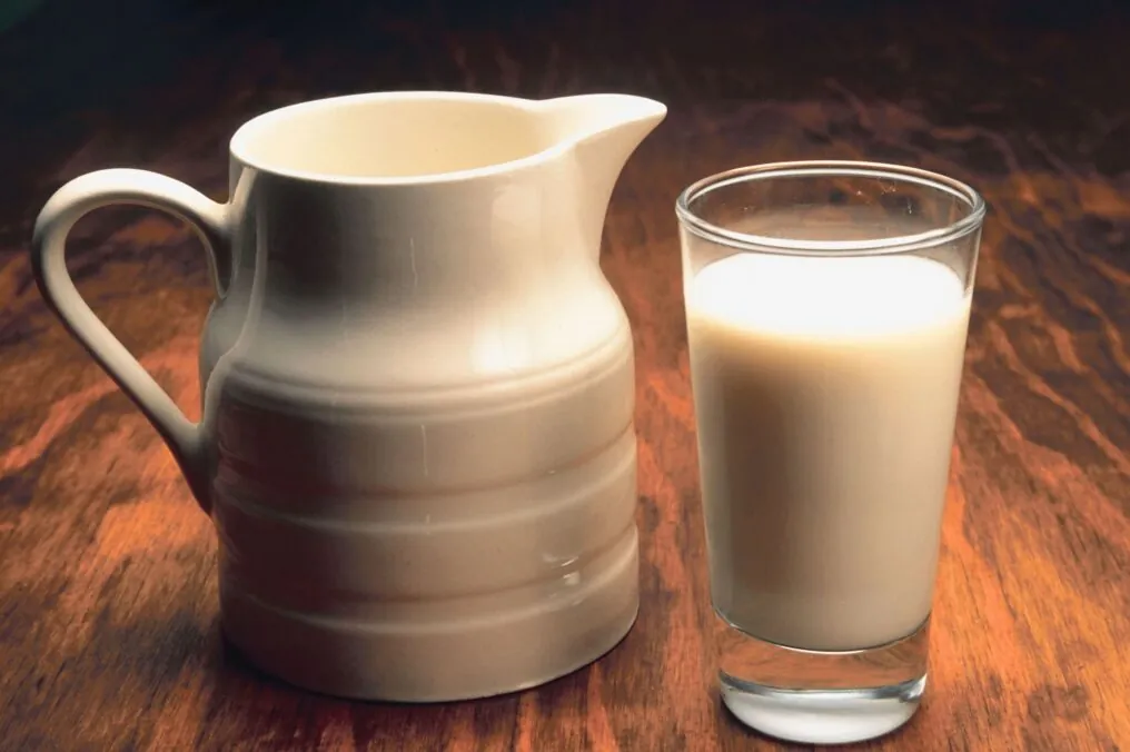 Arizona Milk is Fresh; It Comes from Arizona Dairy Cows!