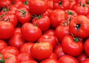 Functional Foods Without any Assembly Required