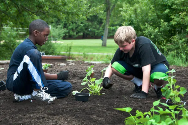 5 Tips to Encourage Healthy Eating Habits