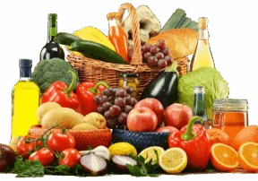 Body Breakdown: How We Process Nutrients