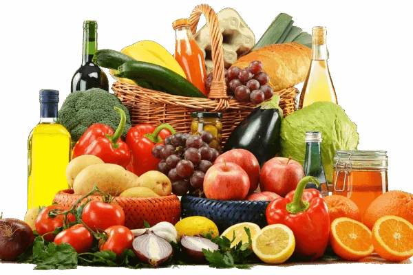Body Breakdown: How We Process Nutrients