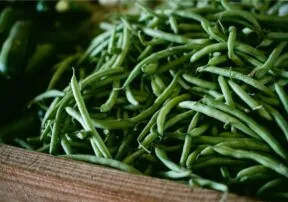 Get Cooking with Green Beans