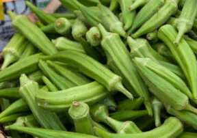Top 20 Ways to Cook Okra