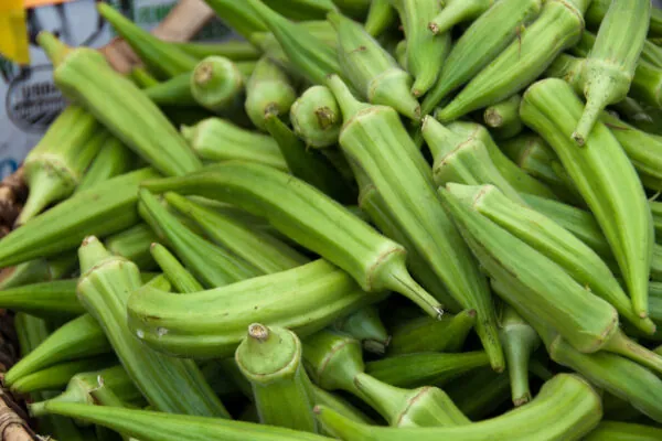 Top 20 Ways to Cook Okra