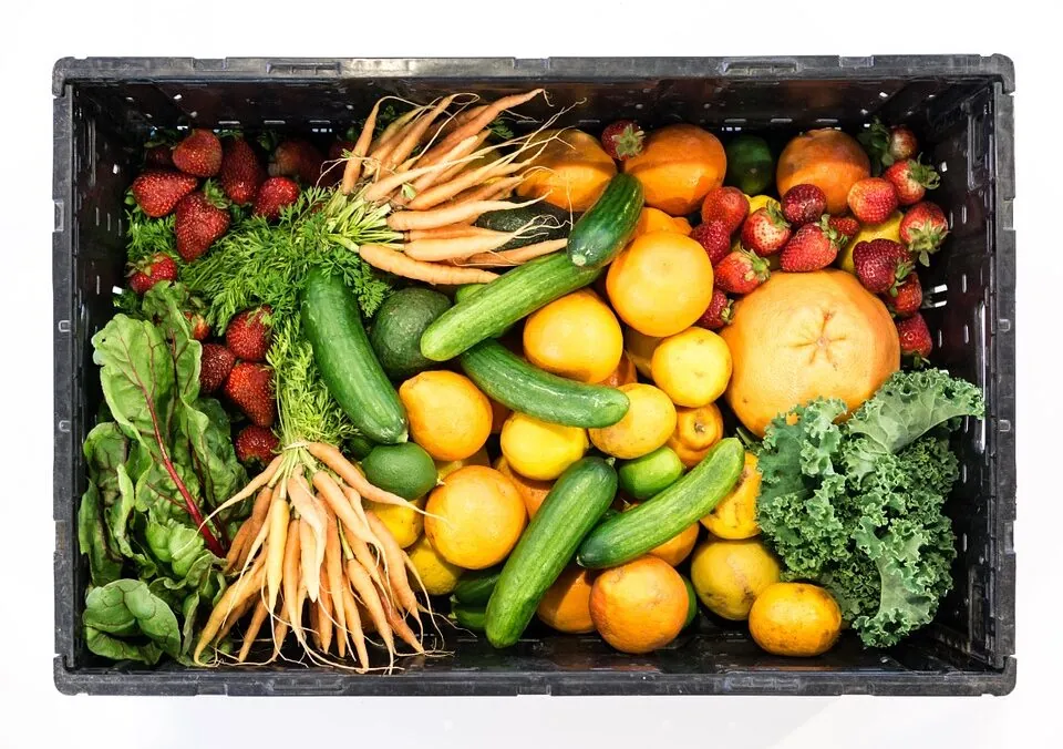 Organic and Conventional farming; More Alike than Different