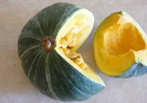 The Japanese Pumpkin