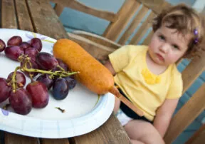My Picky Eater