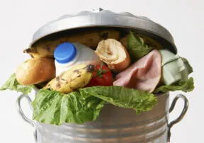 Hungry for Change and Wasting Away: Food Waste in America