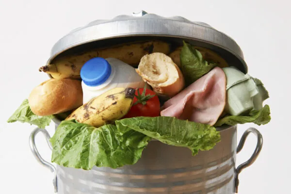 Hungry for Change and Wasting Away: Food Waste in America