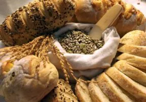 Fill Your Plate’s Collection of Articles About Fiber!