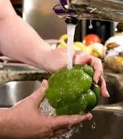 Scrub Your Grub!