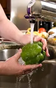 Scrub Your Grub!