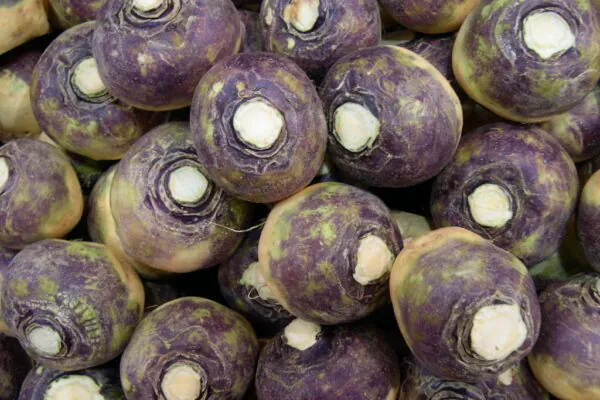 Rutabagas Are in Season!