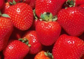 100 Things to do with Strawberries