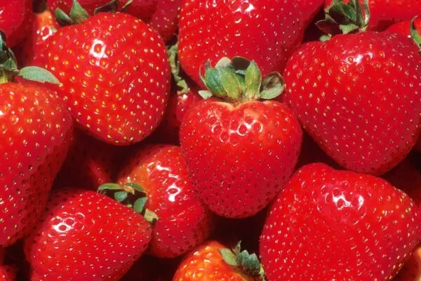 100 Things to do with Strawberries