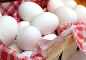 The Excellence of the Egg