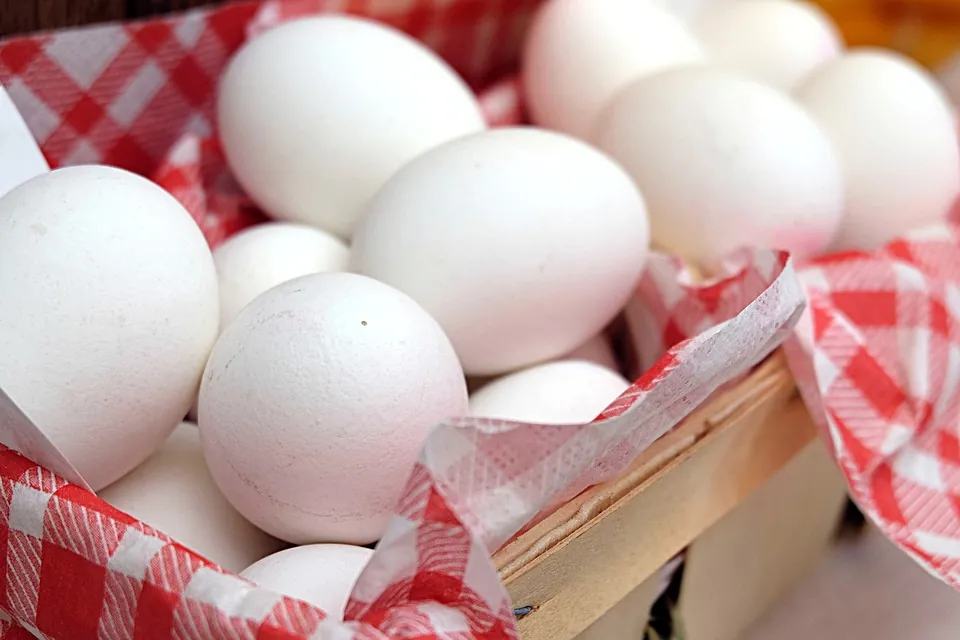 Crack Into a Healthy Egg Today!