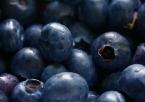 Antioxidants and Phytochemicals
