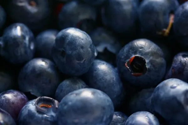 Antioxidants and Phytochemicals