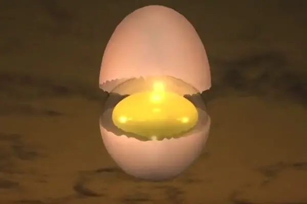 Fuel Your Tank with Egg Protein