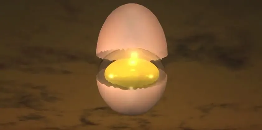 Fuel Your Tank with Egg Protein