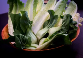 Fill Your Plate with Cabbage