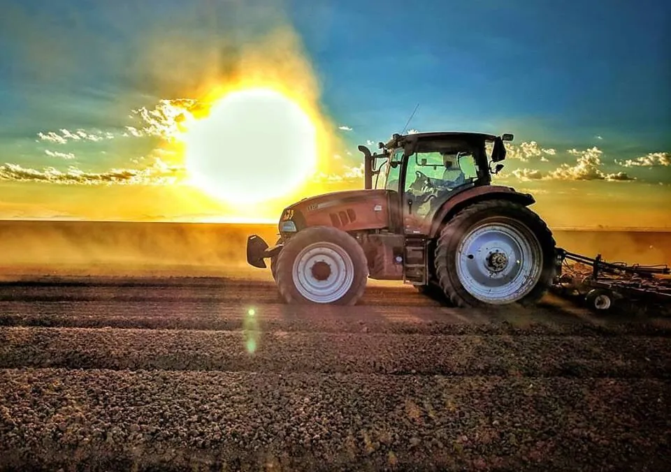 Arizona Agriculture is Beautiful