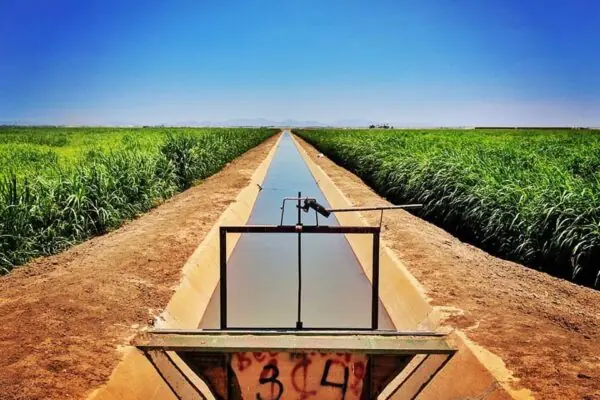 Arizona Farming Uses the Latest Technology to Conserve and Manage Our Water