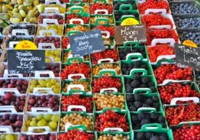 What Types of Foods are Good for You?