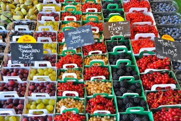 What Types of Foods are Good for You?
