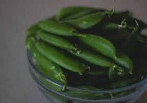 In a World Full of Kale, Why Not be a Green Bean?