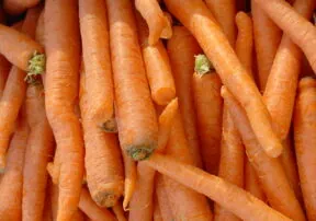 Carrots Are Marching into Season!
