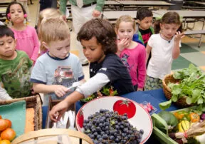 Nutrition for the Life Cycle Series – Nutrition During School-Age Years