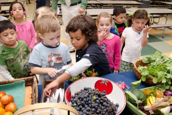 Nutrition for the Life Cycle Series – Nutrition During School-Age Years