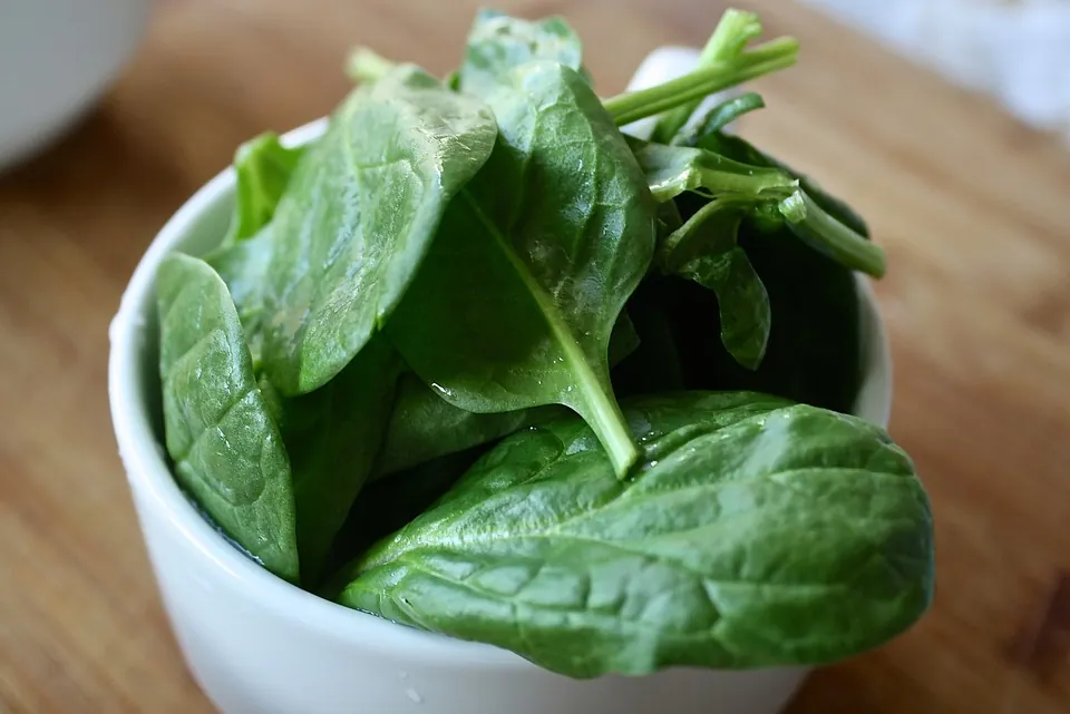Olive Oil Helps the Body Absorb Nutrients