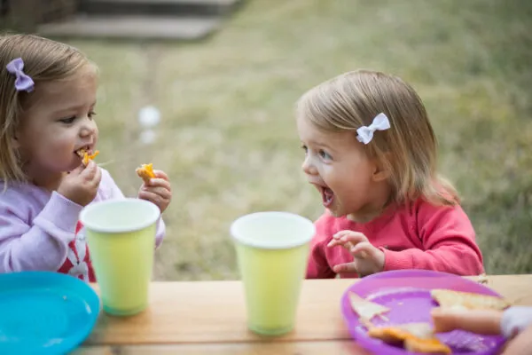 Nutrition for the Life Cycle Series – Nutrition During Toddler Years