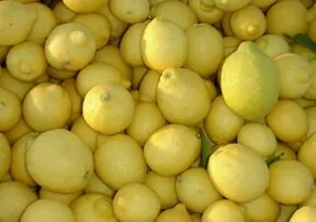 Arizona Lemons, Worthy of a “Pucker Up!”