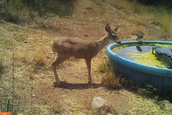Ranchers Have Big Hearts for Wildlife!