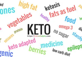 Ketogenic Diet: Do’s and Don’ts from a Nutrition Students attempt