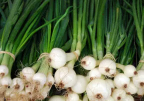 Fill (Not Garnish) Your Plate with Green Onions