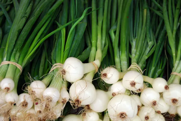 Fill (Not Garnish) Your Plate with Green Onions