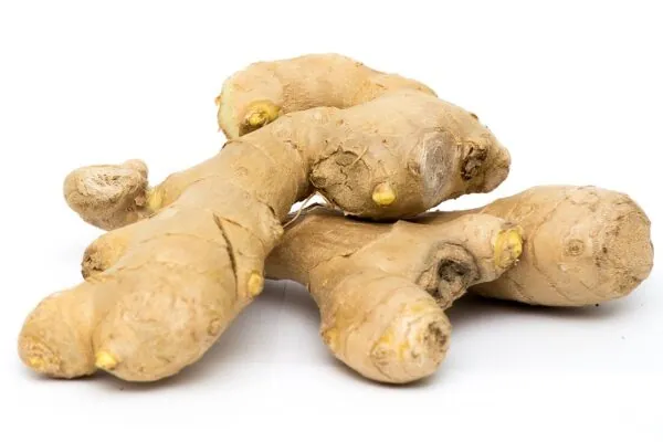 Foods That Beat Bloating
