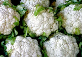Fill Your Plate With Cauliflower!