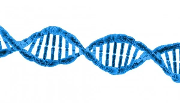 Folate vs Folic Acid: How They Affect Women with MTHFR