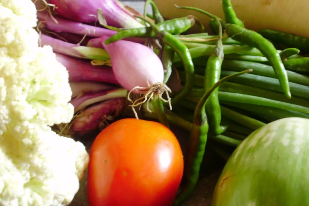 Farmers Keep Your Food Safe